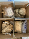 Mystery Pottery Boxes